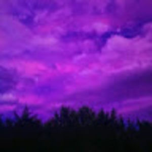 Meet your Posher, Gianna